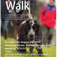 Paws for a walk Stormont