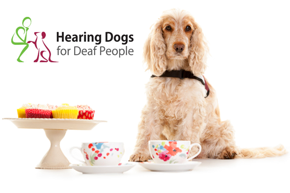 A Hearing Dog posing with tea cups and buns.